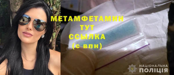 сатива Беломорск