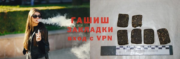 сатива Беломорск