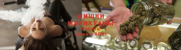 сатива Беломорск