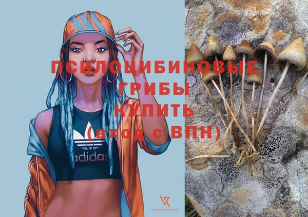 стафф Белоозёрский