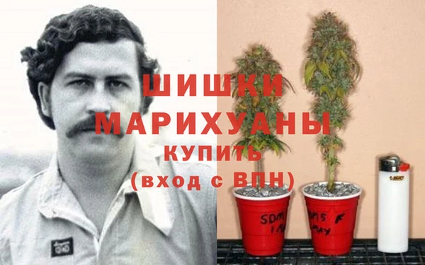 мескалин Белокуриха